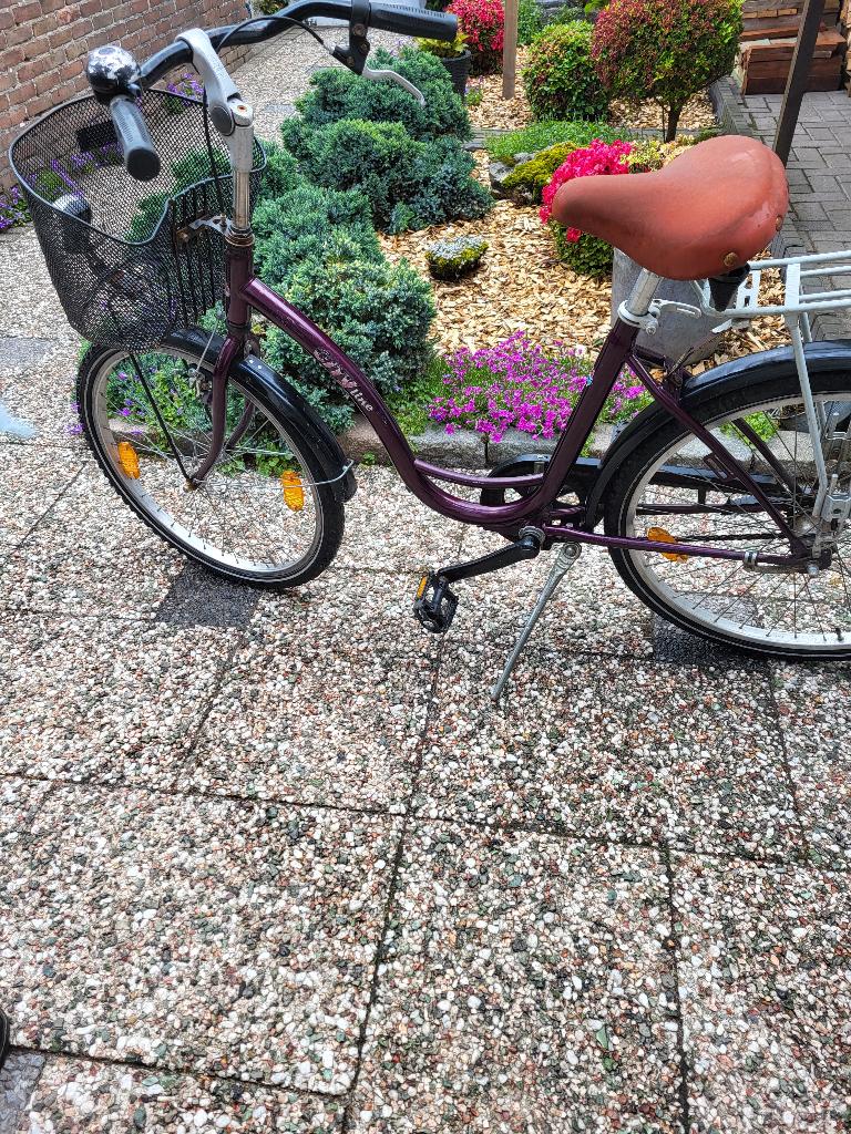 kleine damesfiets, Fietsen en Brommers, Fietsen | Dames | Damesfietsen, Terugtraprem, 47 tot 50 cm, Ophalen, Overige merken