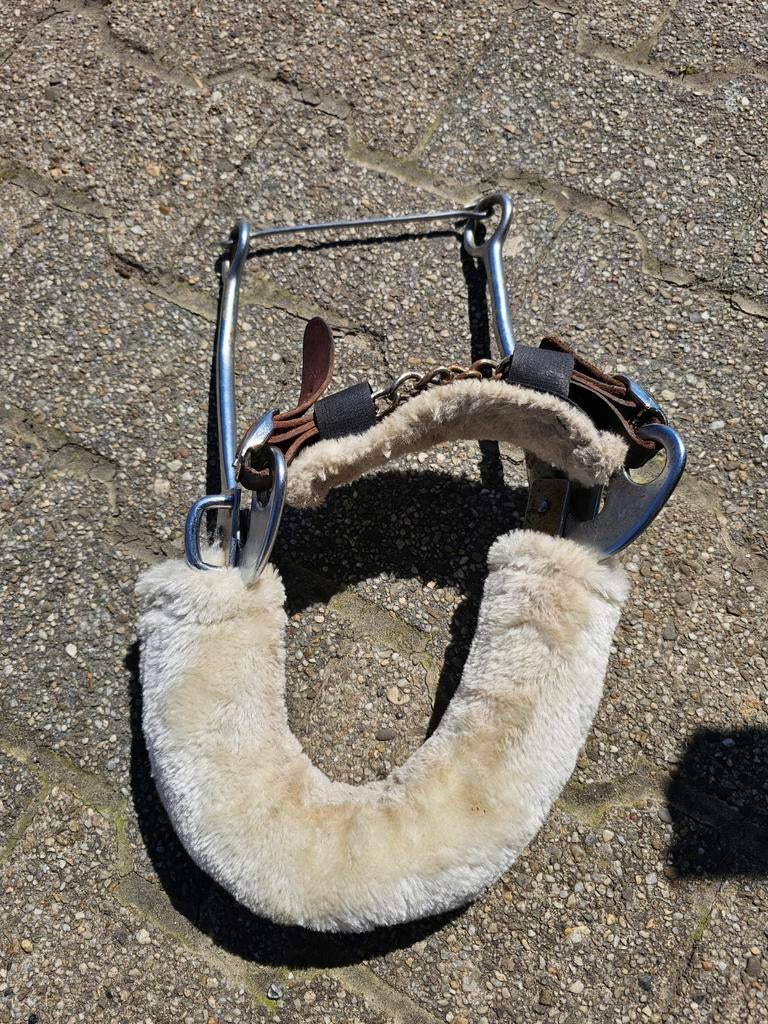 Hackamore, Ophalen of Verzenden, Gebruikt, Overige soorten