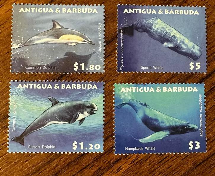 Antigua & Barbuda 2009 Postfris - Walvissen en Dolfijnen, Postzegels en Munten, Postzegels | Amerika, Postfris, Midden-Amerika