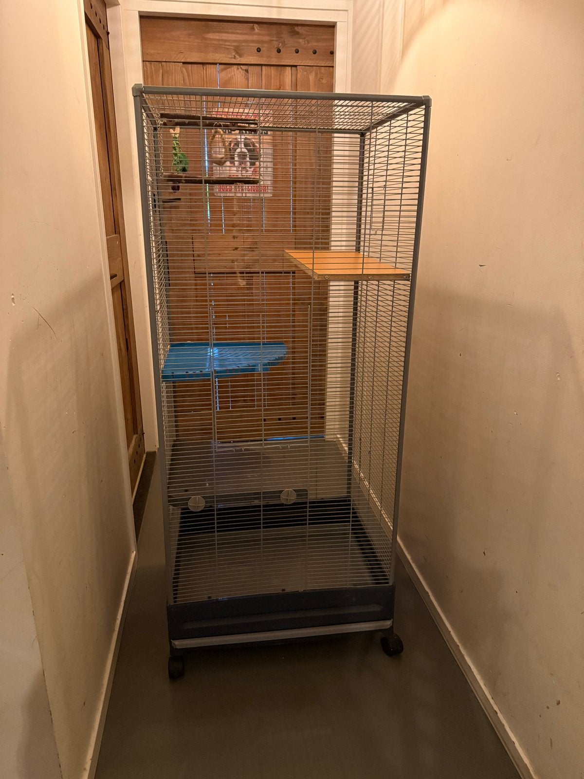 Vogelkooi of rattenkooi, Dieren en Toebehoren, Vogels | Hokken en Kooien, Ophalen, Zo goed als nieuw, Metaal, Vogelkooi