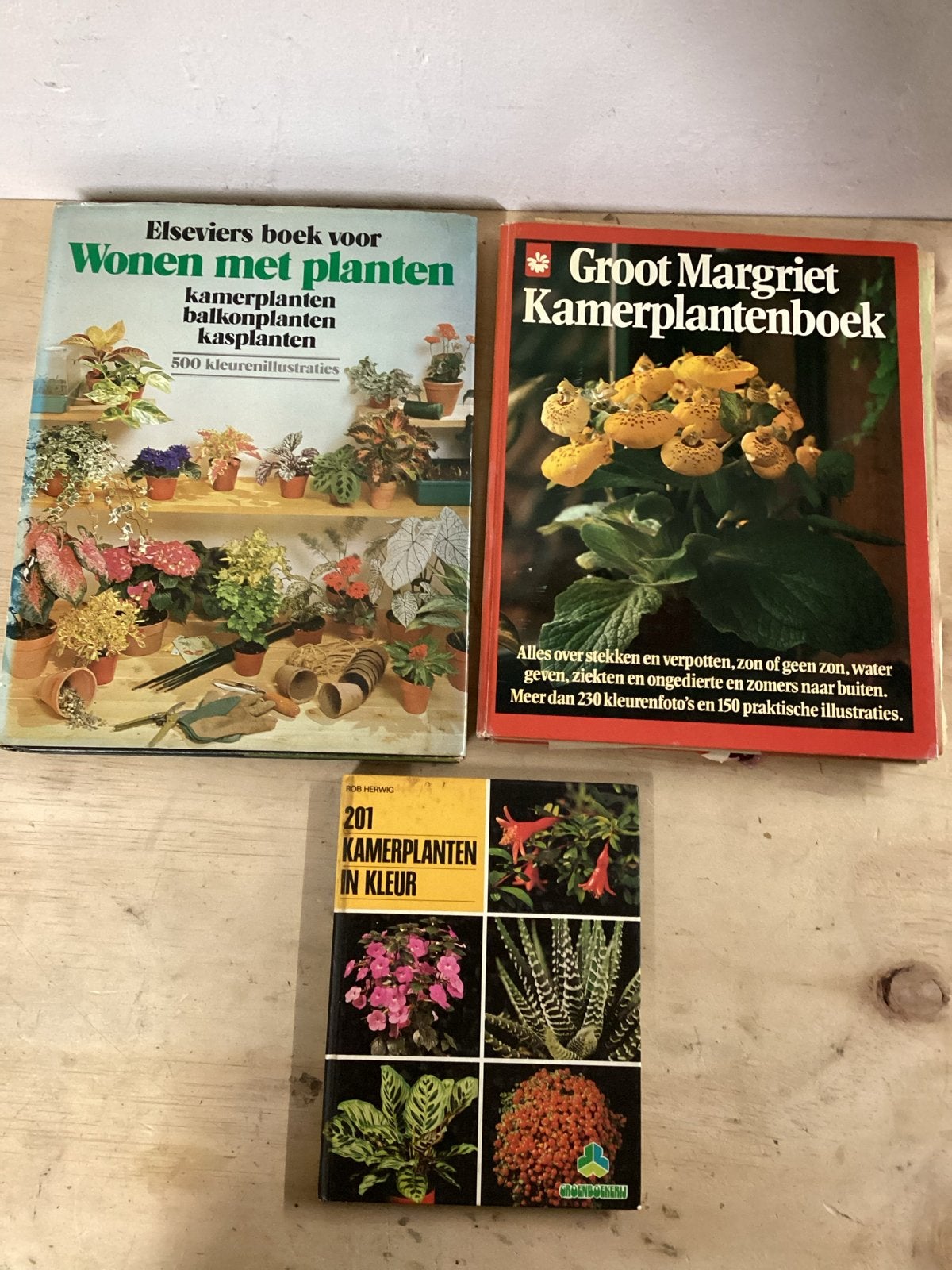3 boeken over kamerplanten: Wonen met planten, 201 Kamerplan, Verzenden, Gelezen, Kamerplanten