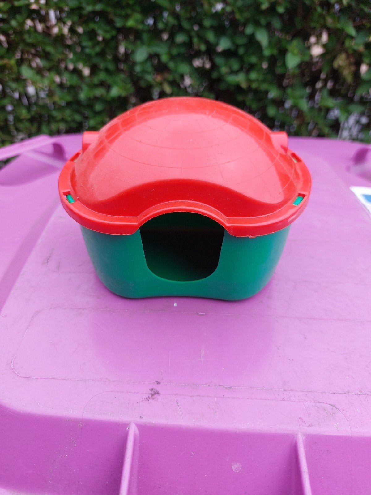 Hamster hiusje op halen, Ophalen