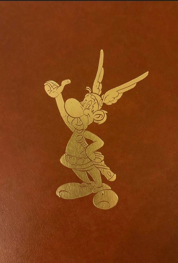 Asterix en Obelix 1978 - bijna Complete serie, Boeken, Complete serie of reeks, Ophalen of Verzenden, Zo goed als nieuw