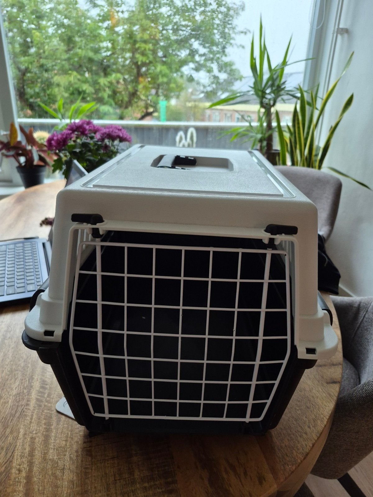 reismand kat/hond nieuw, Ophalen, Nieuw