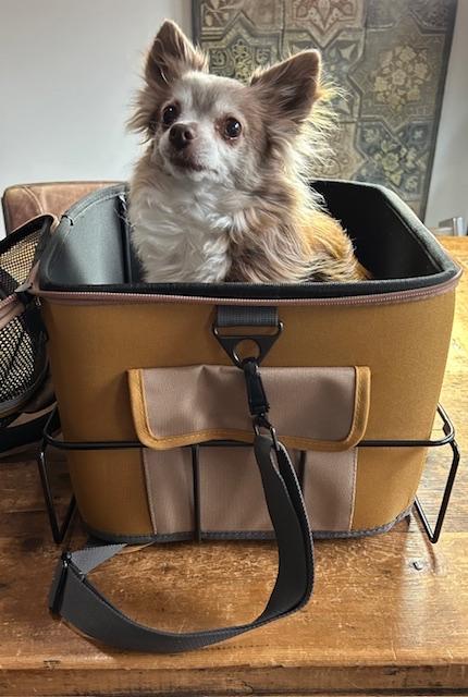 Nieuwe honden fietsmand - 40x40x31 cm, Dieren en Toebehoren, Ophalen of Verzenden, Nieuw