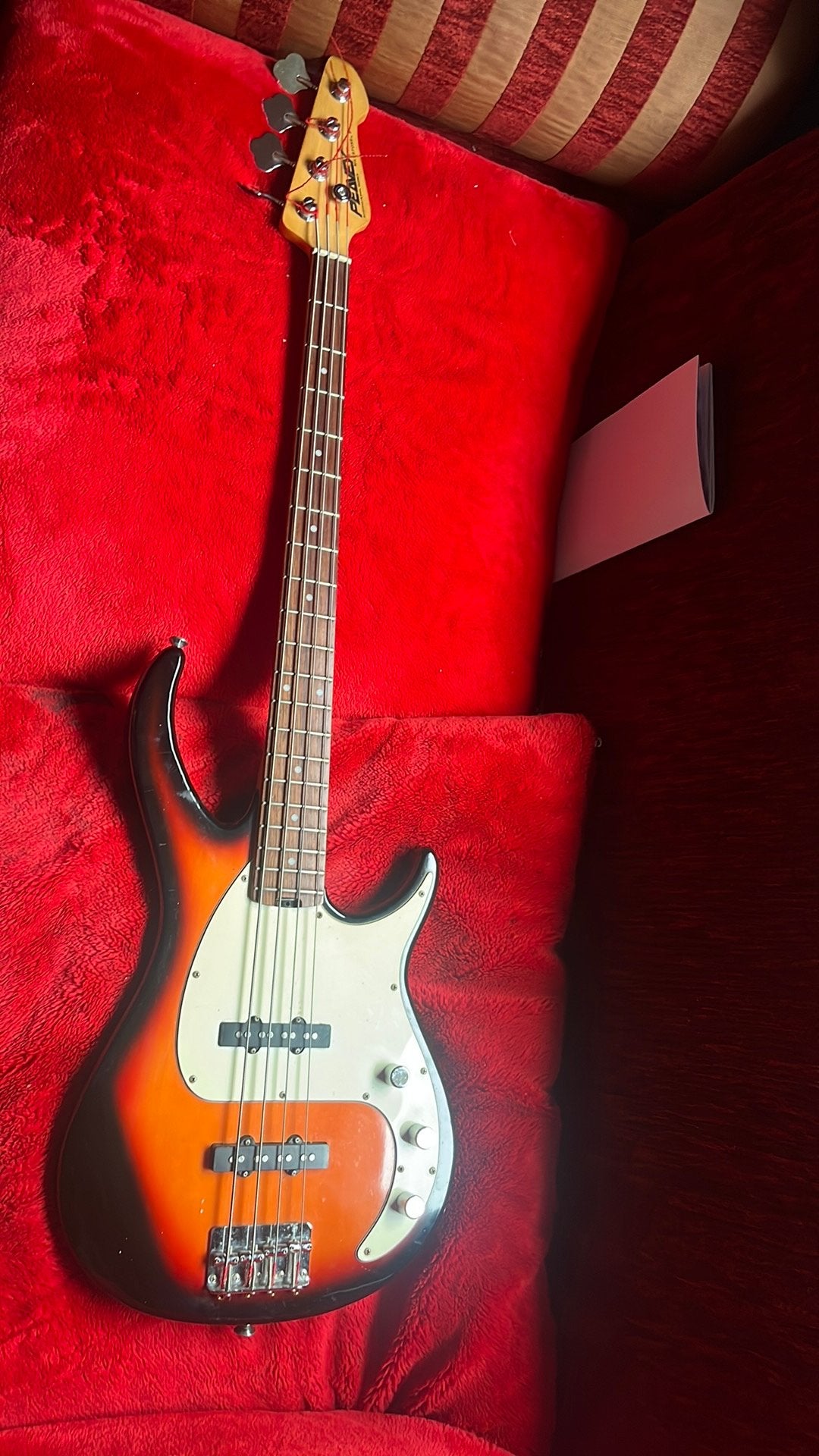 Te koop basgitaar peavey 4 snarig, Ophalen of Verzenden, Gebruikt, Elektrisch