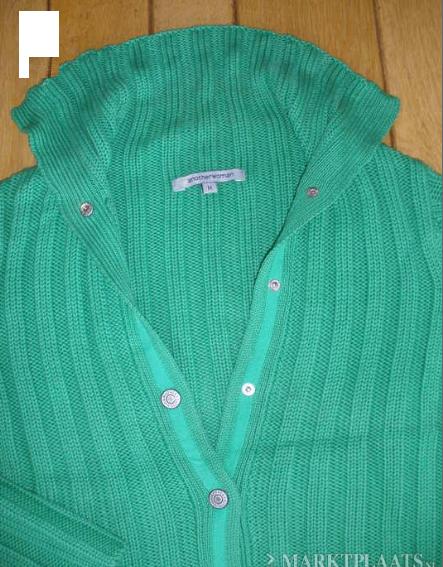 ANOTHER WOMAN vest groen maat M, Kleding | Dames, Maat 38/40 (M), Ophalen of Verzenden, Zo goed als nieuw, Another Woman