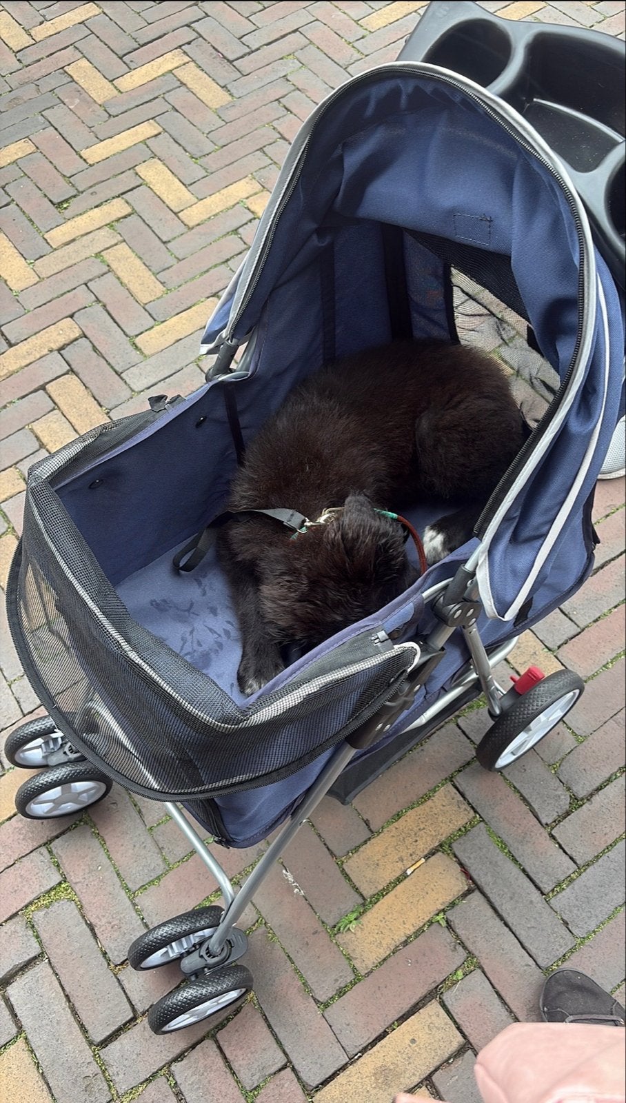 Buggy voor hond en/of kat., Ophalen of Verzenden, Zo goed als nieuw