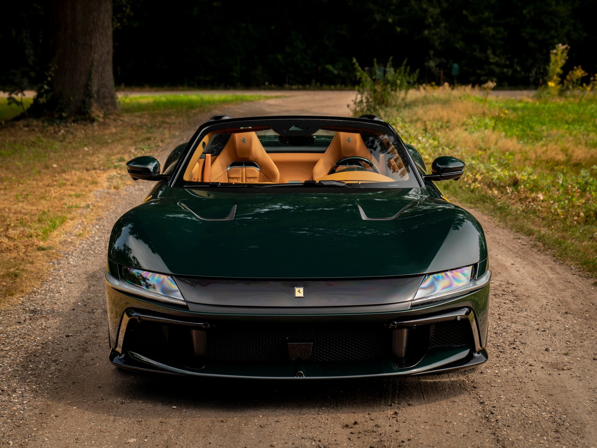 Ferrari 12Cilindri Spider 6.5 V12 | Verde British | Full spe, Auto's, Automaat, Achterwielaandrijving, Gebruikt, Leder
