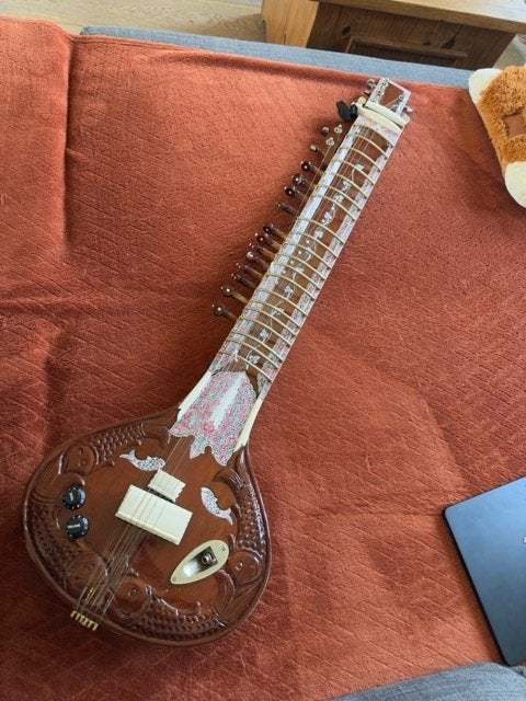 semi akoestische sitar, Muziek en Instrumenten, Snaarinstrumenten | Overige, Ophalen, Zo goed als nieuw, Overige typen