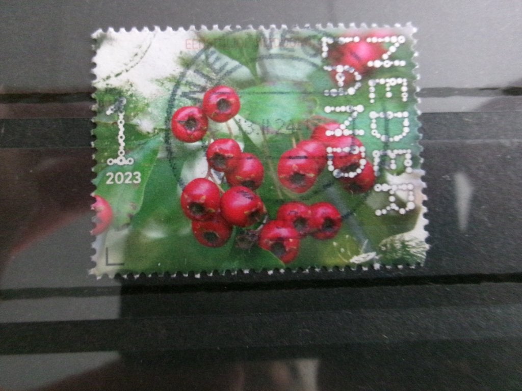 2023 - beleef de natuur eenstijlige meidoorn (455c), Ophalen of Verzenden, Gestempeld