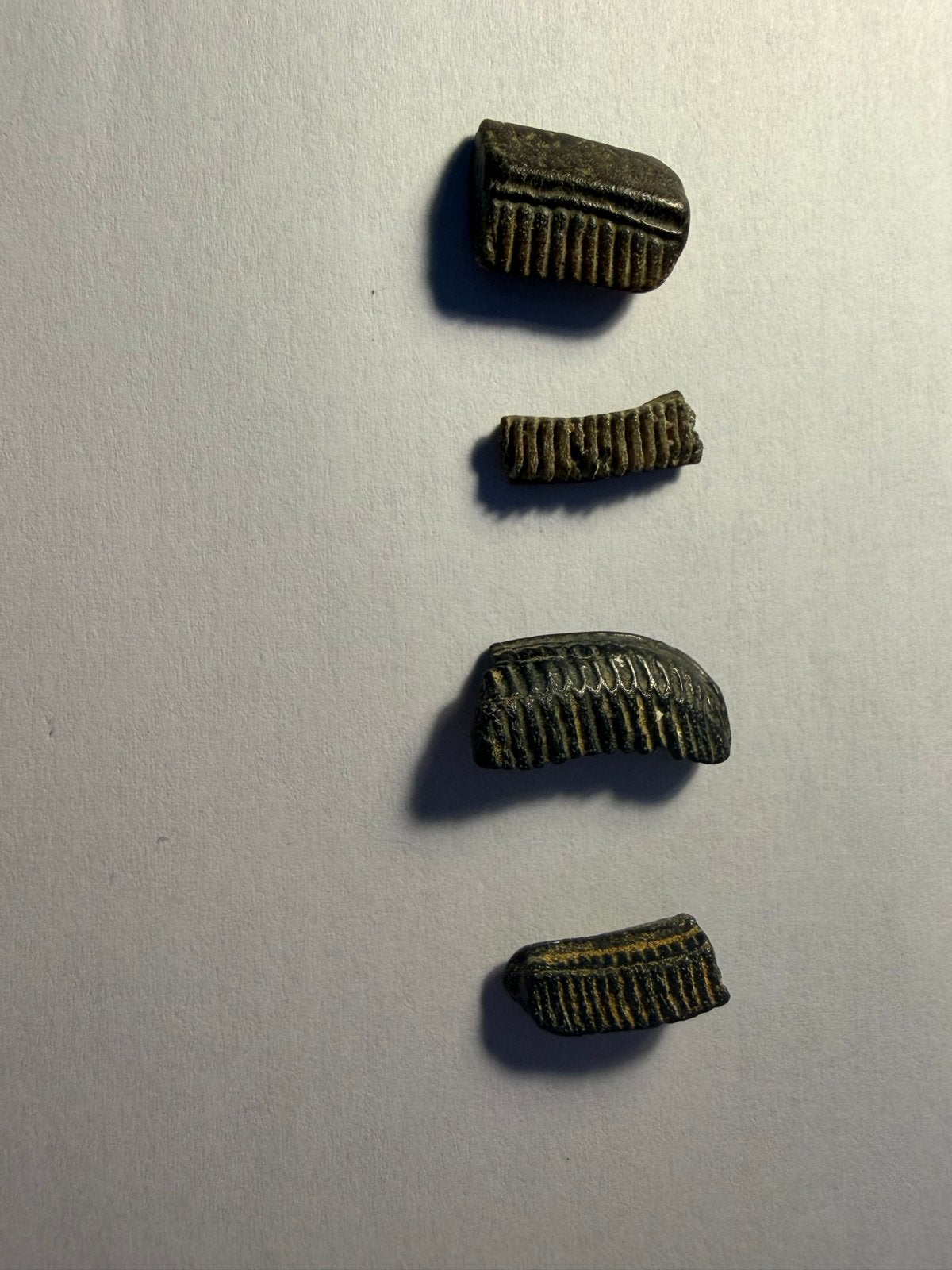Fossielen, Ophalen, Fossiel