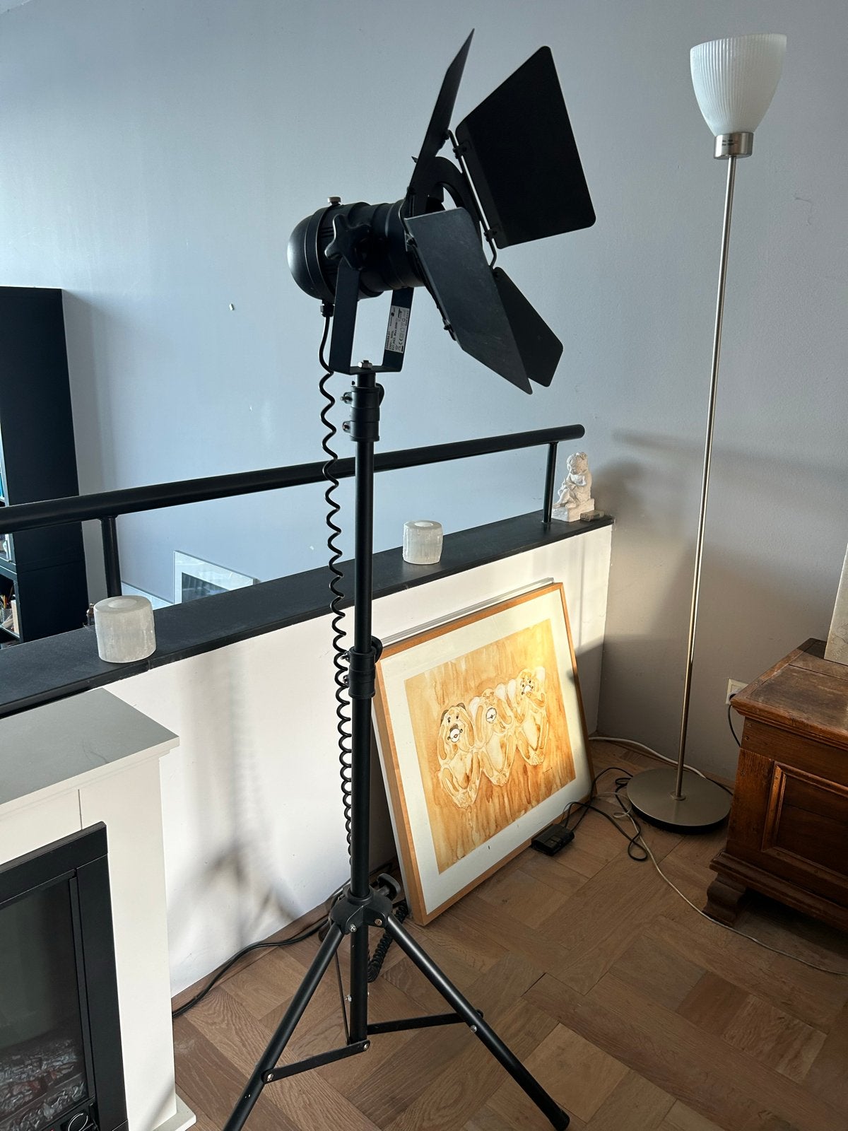 Studiolamp met statief en barndoors, Ophalen, Inclusief statief, Zo goed als nieuw, Overige merken