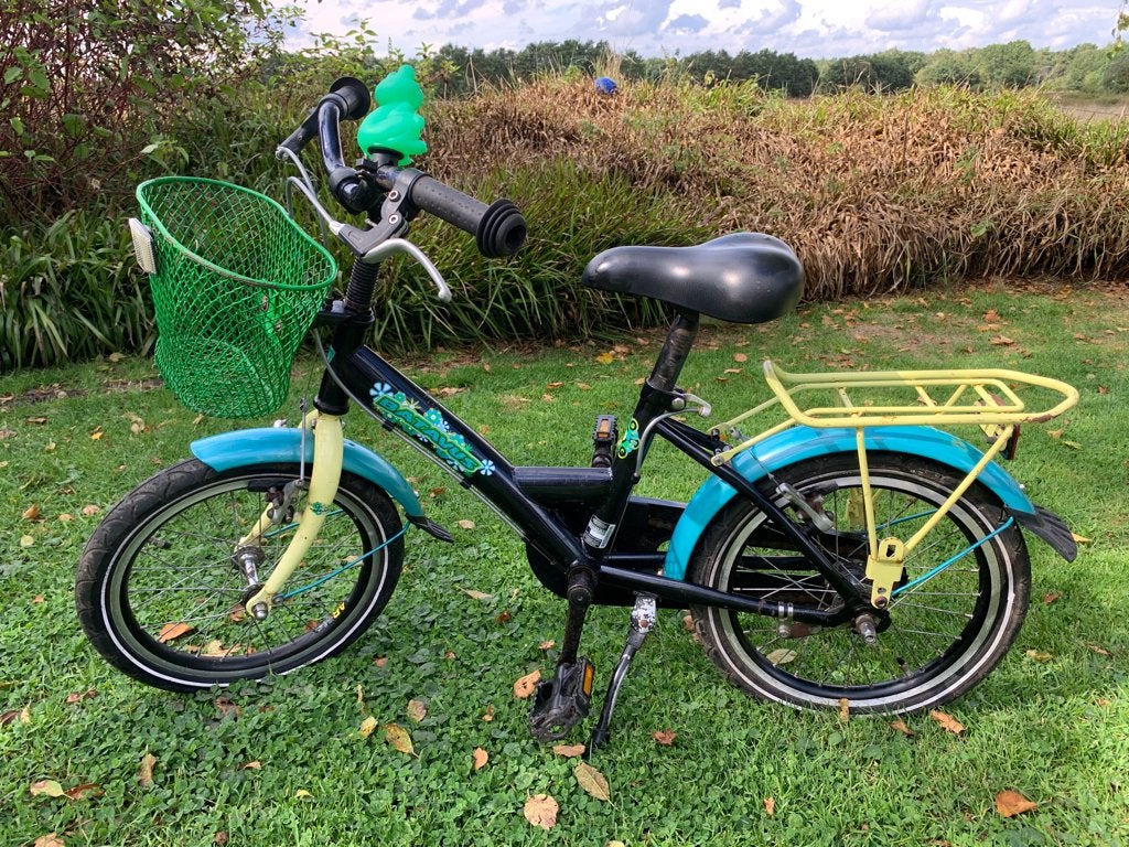 Kinderfietsje Batavus, wielmaat 10 x 1.75, Ophalen, Zijwieltjes, Gebruikt, Velgrem