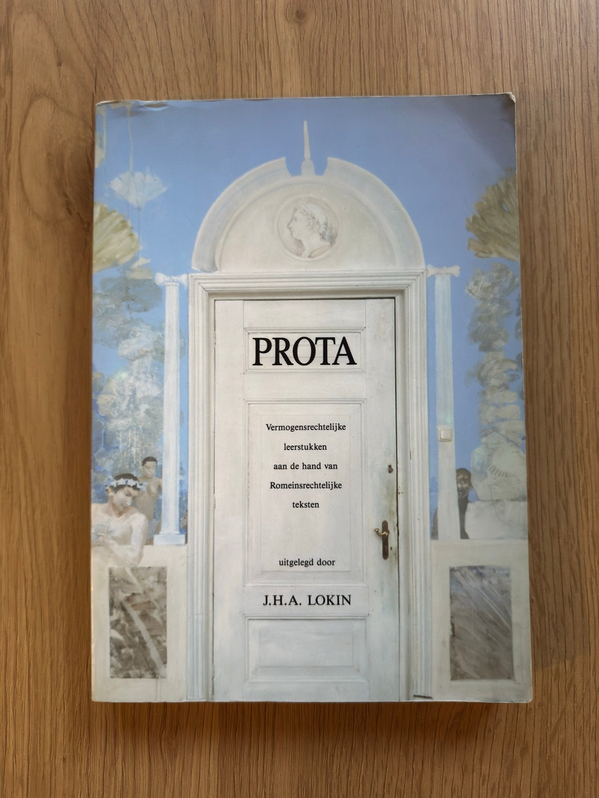 PROTA: Vermogensrechtelijke leerstukken Romeinsrecht, Boeken, Ophalen of Verzenden, Gamma, Gelezen, WO