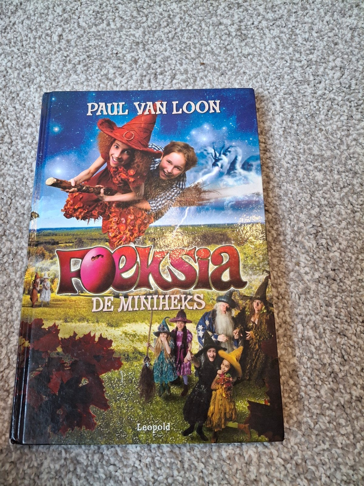 Foeksia de Miniheks - Paul van Loon (kinderboek), Gelezen, Paul van Loon, Ophalen of Verzenden, Fictie
