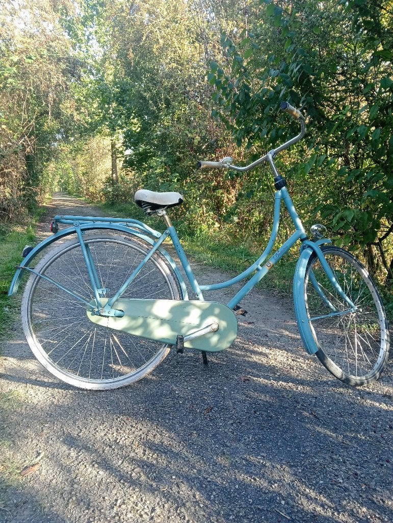 Dames fietsen, Velgrem, 50 tot 53 cm, Ophalen, Overige merken