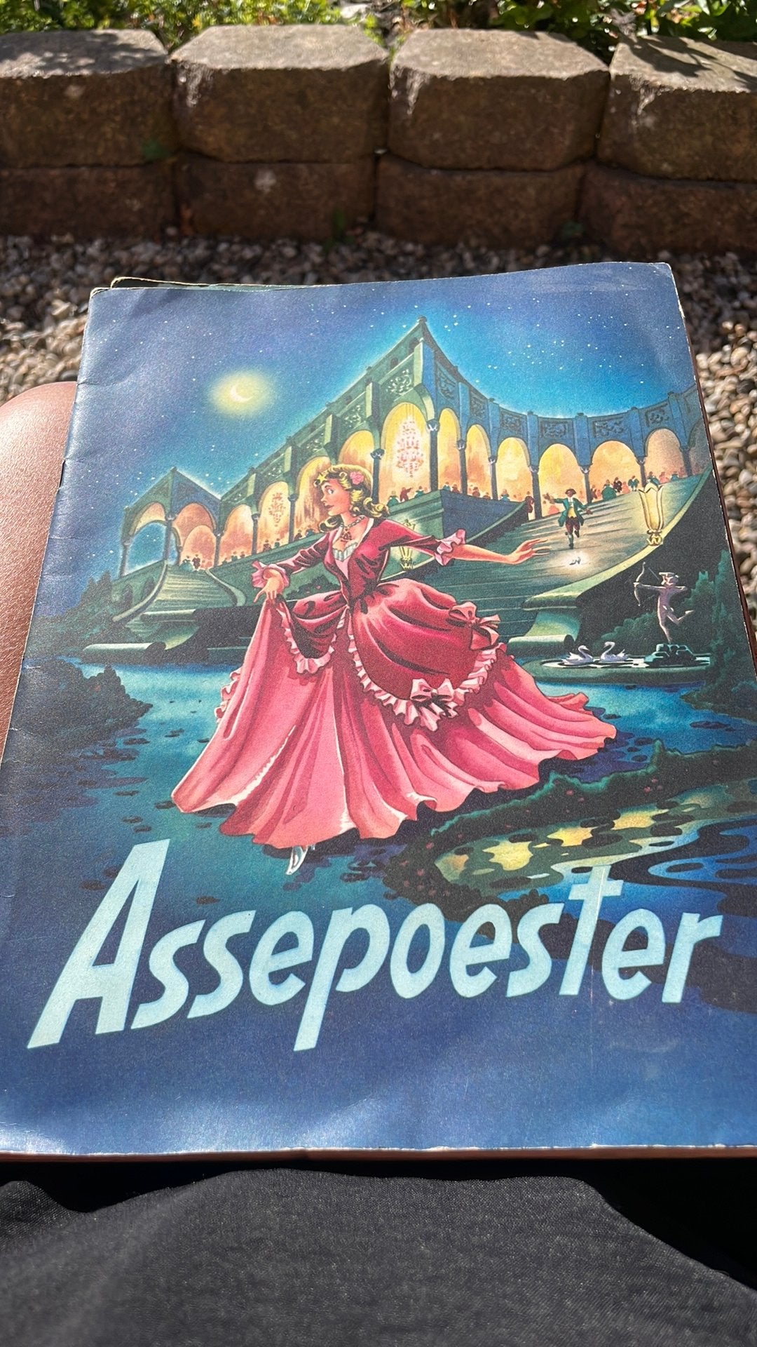 Assepoester, Boeken, Ophalen of Verzenden, Zo goed als nieuw
