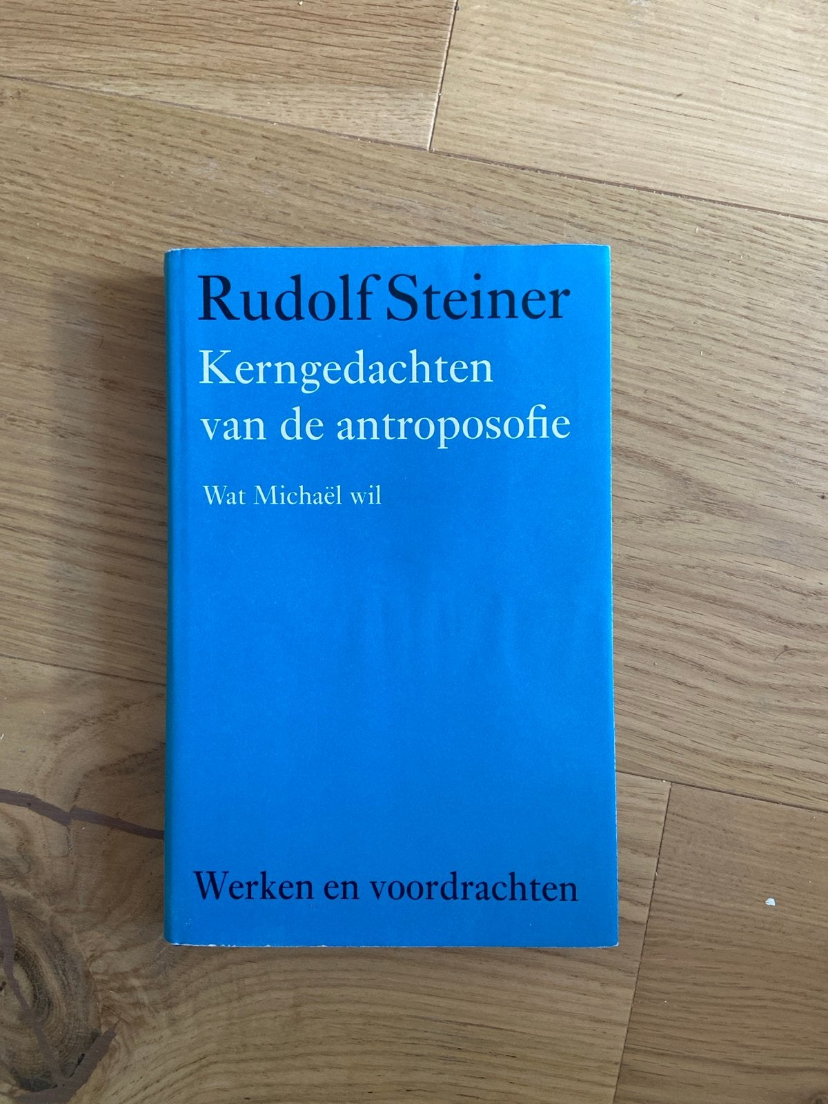 Rudolf Steiner - Kerngedachten van de antroposofie, Ophalen of Verzenden, Zo goed als nieuw, Spiritualiteit algemeen, Achtergrond en Informatie