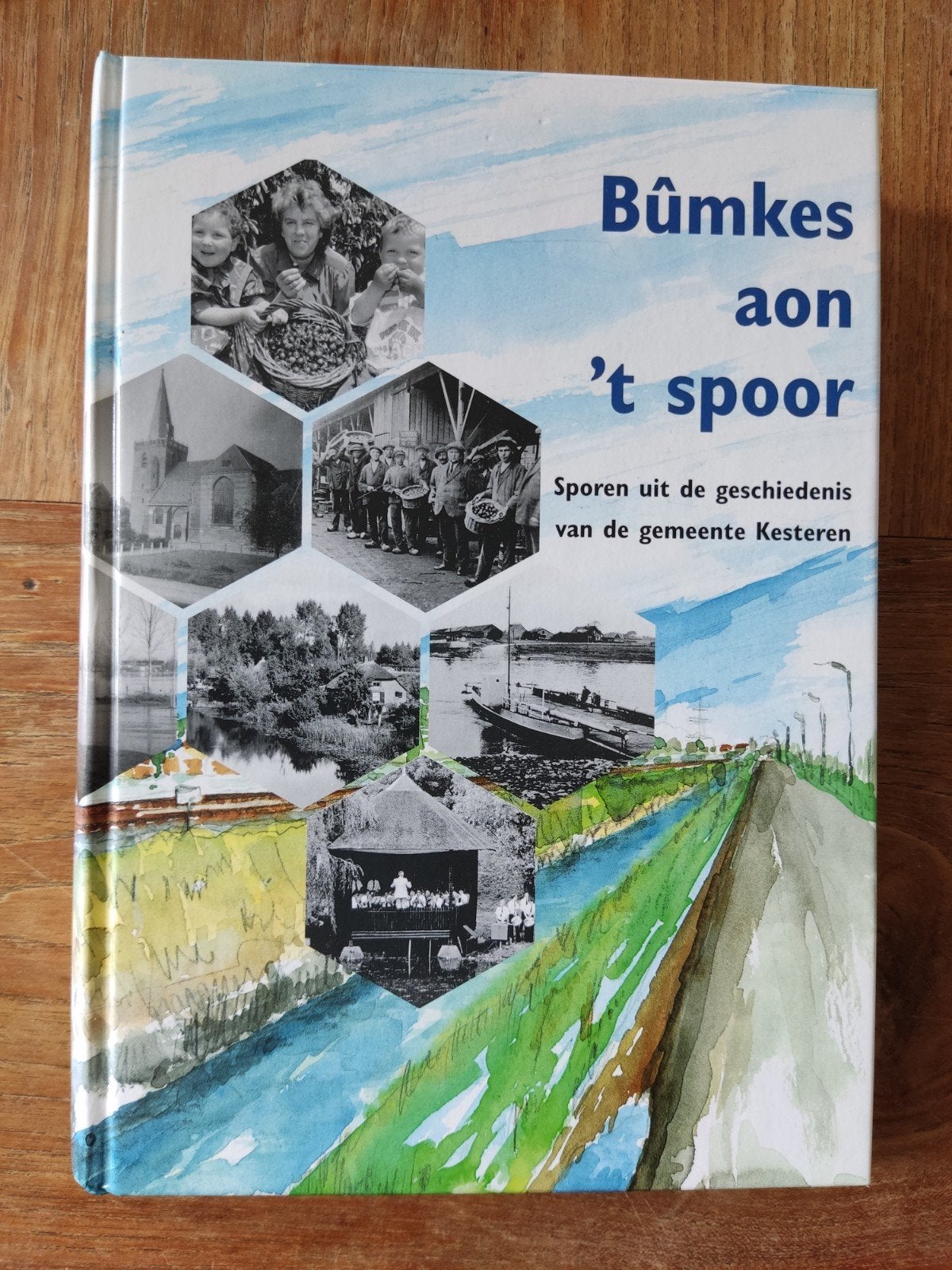 Bûmkes aon 't spoor - Sporen uit de geschiedenis, Ophalen of Verzenden, 20e eeuw of later, Zo goed als nieuw, Diverse auteurs