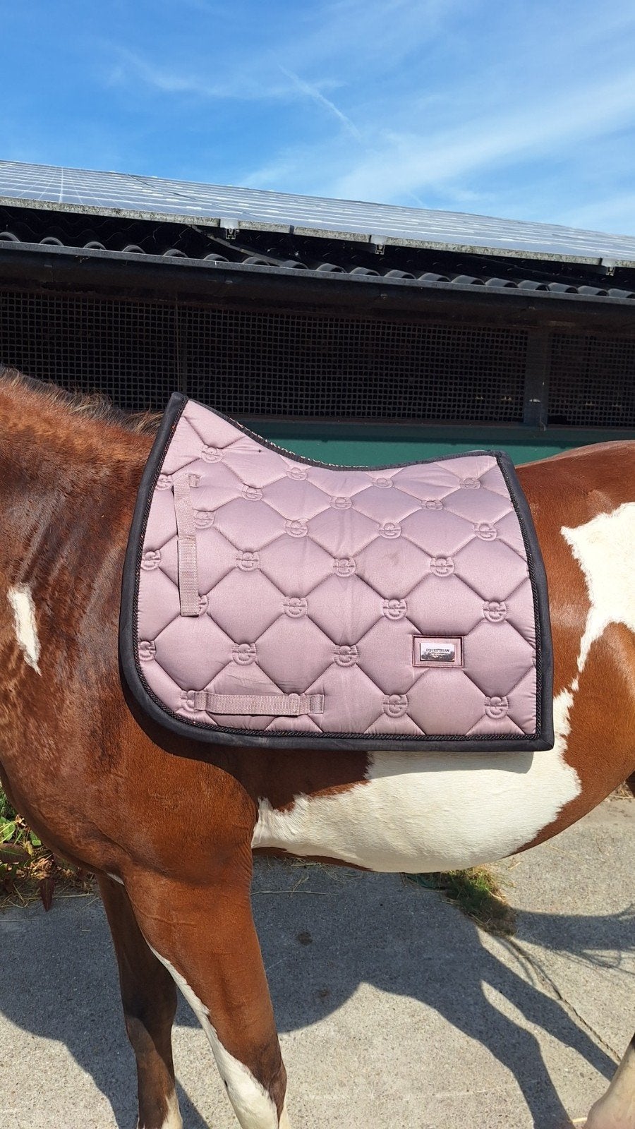 Equestrian Stockholm Anemone, Dieren en Toebehoren, Paarden en Pony's | Dekens en Dekjes, Full (L), Dressuurdekje, Equestrian Stockholm