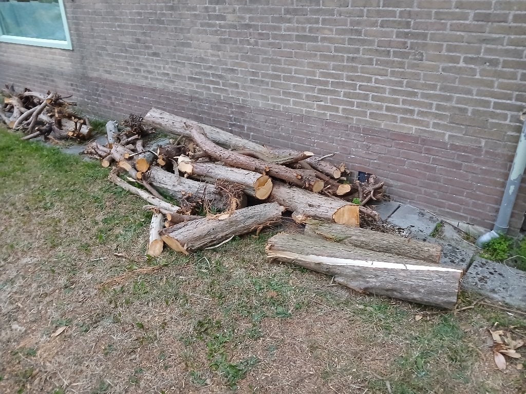 hout