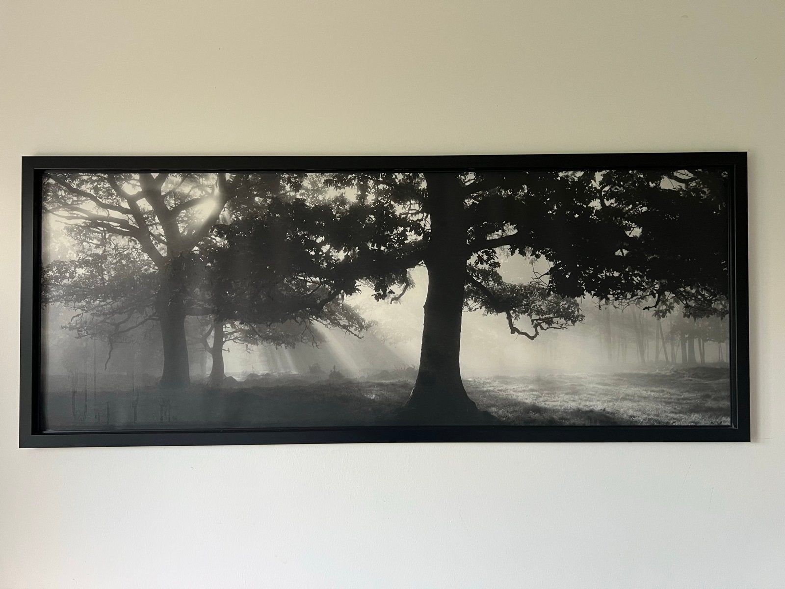 IKEA BJÖRKSTA Canvas - Mystiek Bos Zwart-Wit, Ophalen, 50 – 75, Oorspronkelijke maker, 125 cm of meer