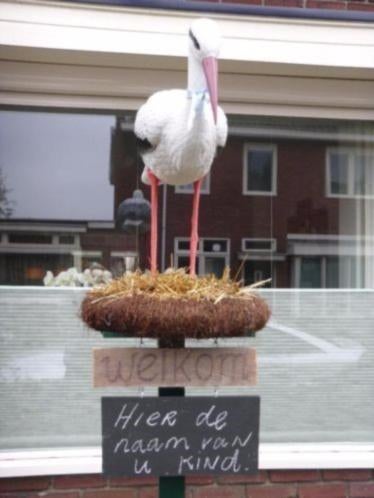 Ooievaar met nest en ei te huur!, Ophalen, Geboorte of Huwelijk