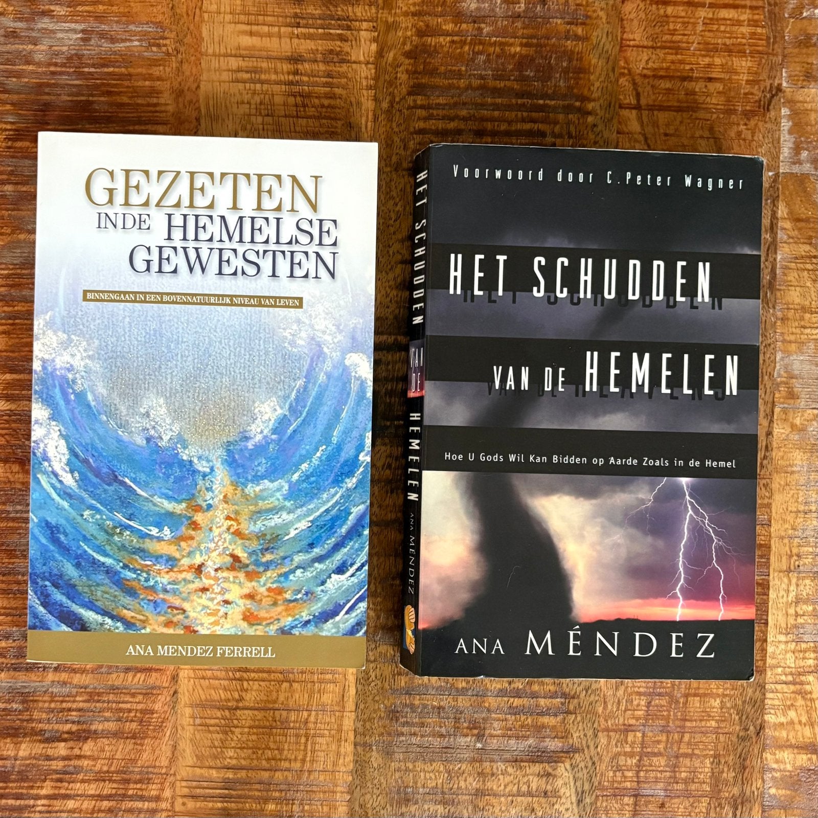 Ana Méndez Ferrell: 2 boeken over hemelse werkelijkheid, Ophalen of Verzenden, Zo goed als nieuw