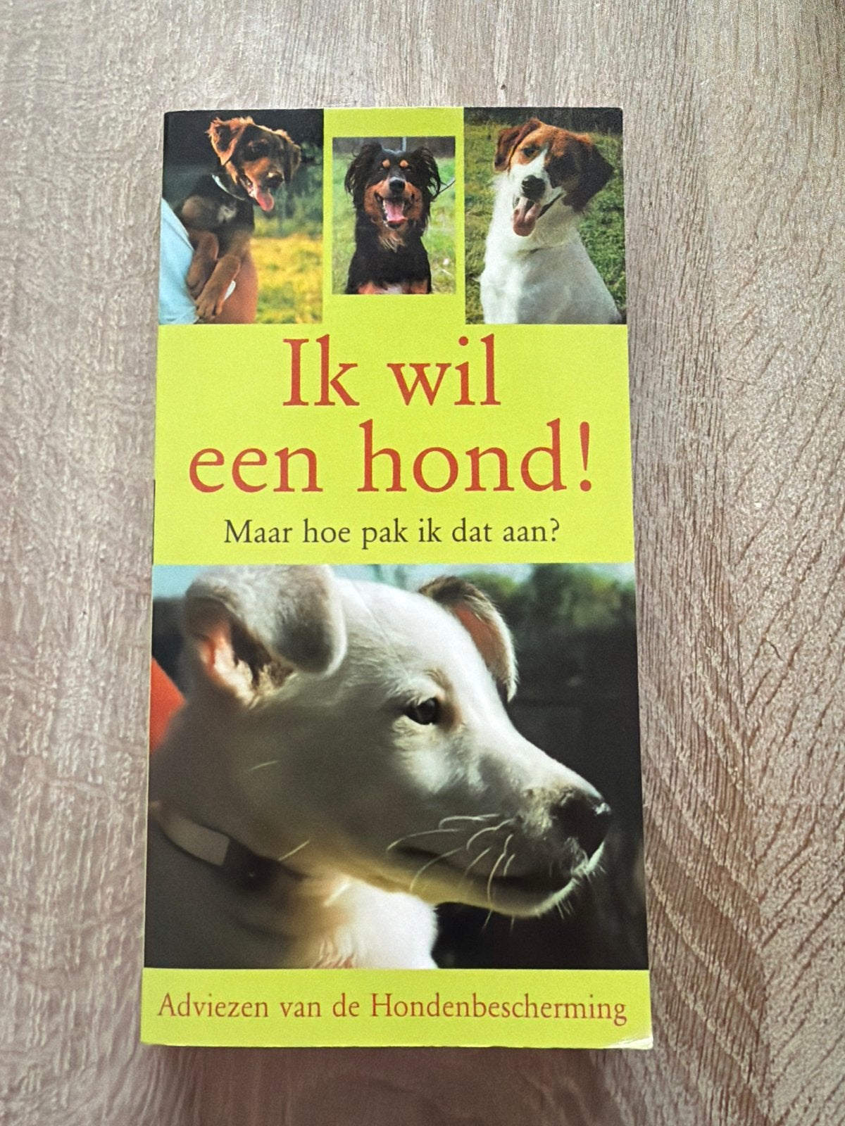 Ik wil een hond! Adviezen van de Hondenbescherming, Ophalen of Verzenden, Zo goed als nieuw, Honden