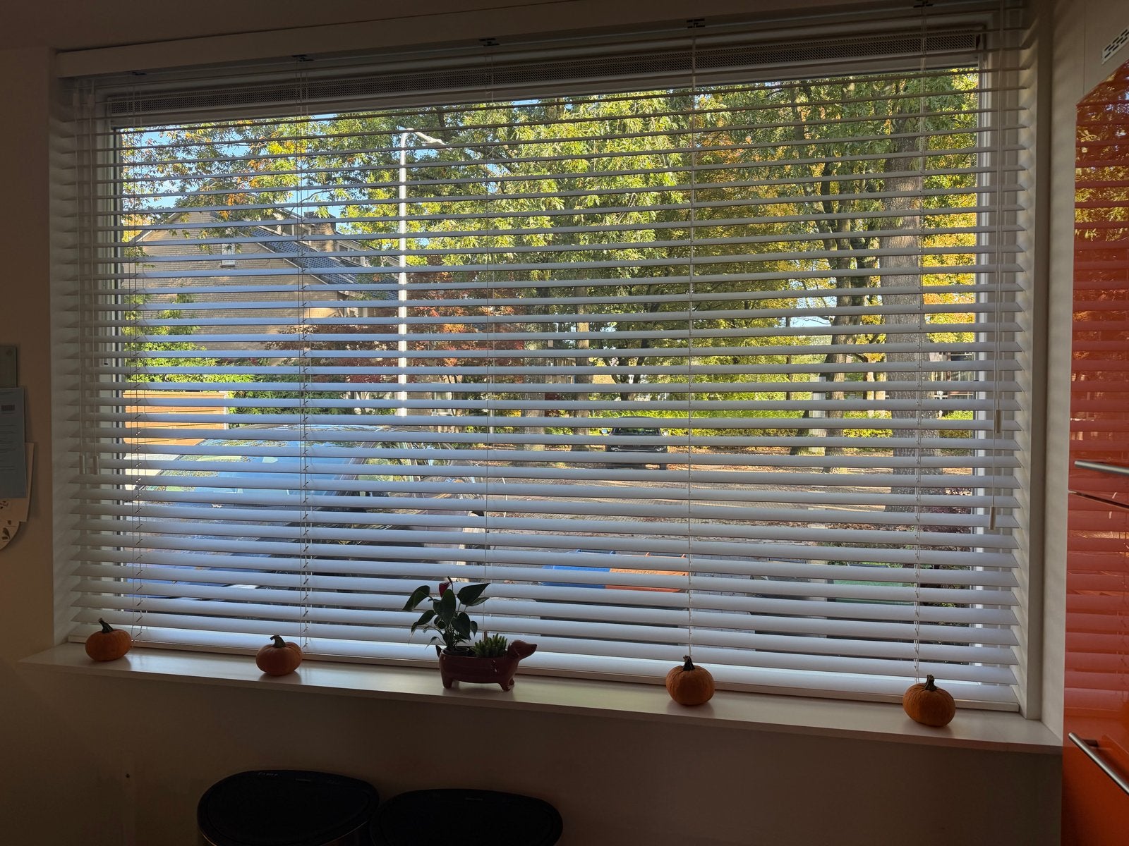 Witte horizontale jaloezieën - perfect voor privacy en licht, Ophalen, Jaloezie, Wit, Hout