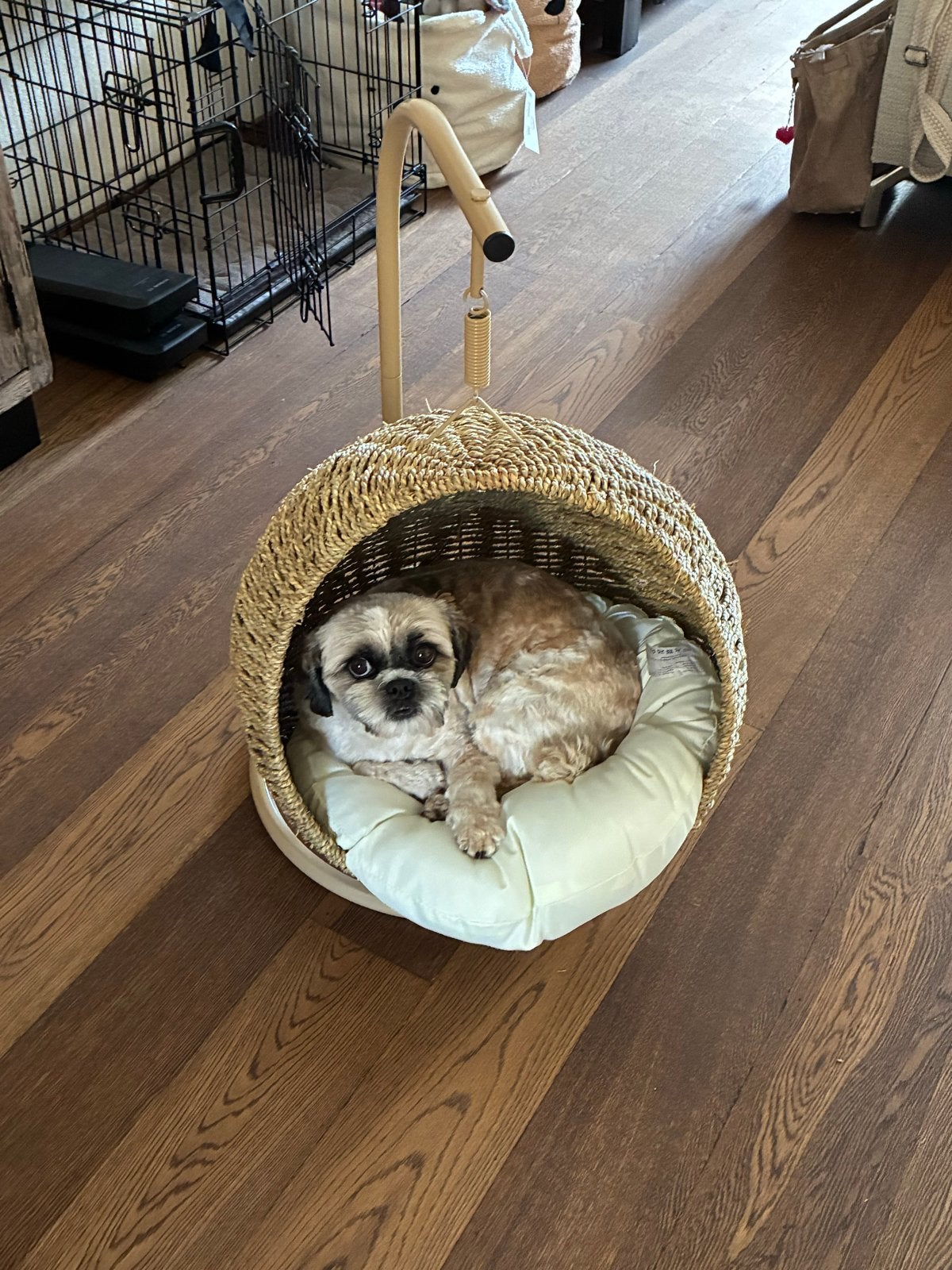 Honden of katten schommelstoel, Ophalen of Verzenden, Nieuw, Overige
