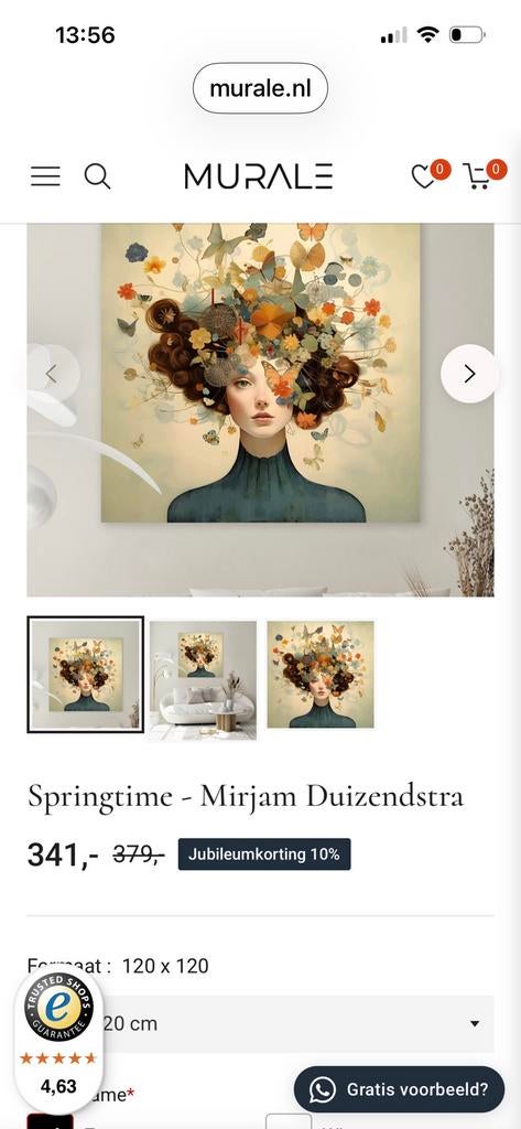 Schilderij, Cancas Murale, Ophalen