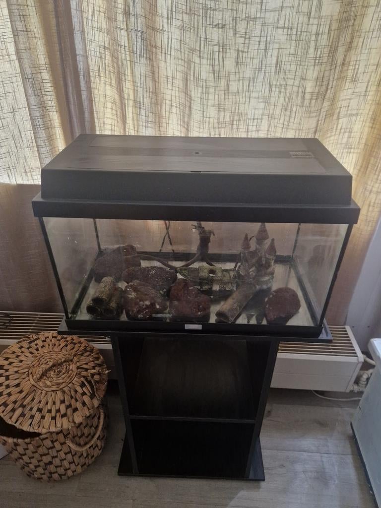 Juwel Aquarium 60cm, Dieren en Toebehoren, Vissen | Aquaria en Toebehoren, Ophalen, Leeg aquarium