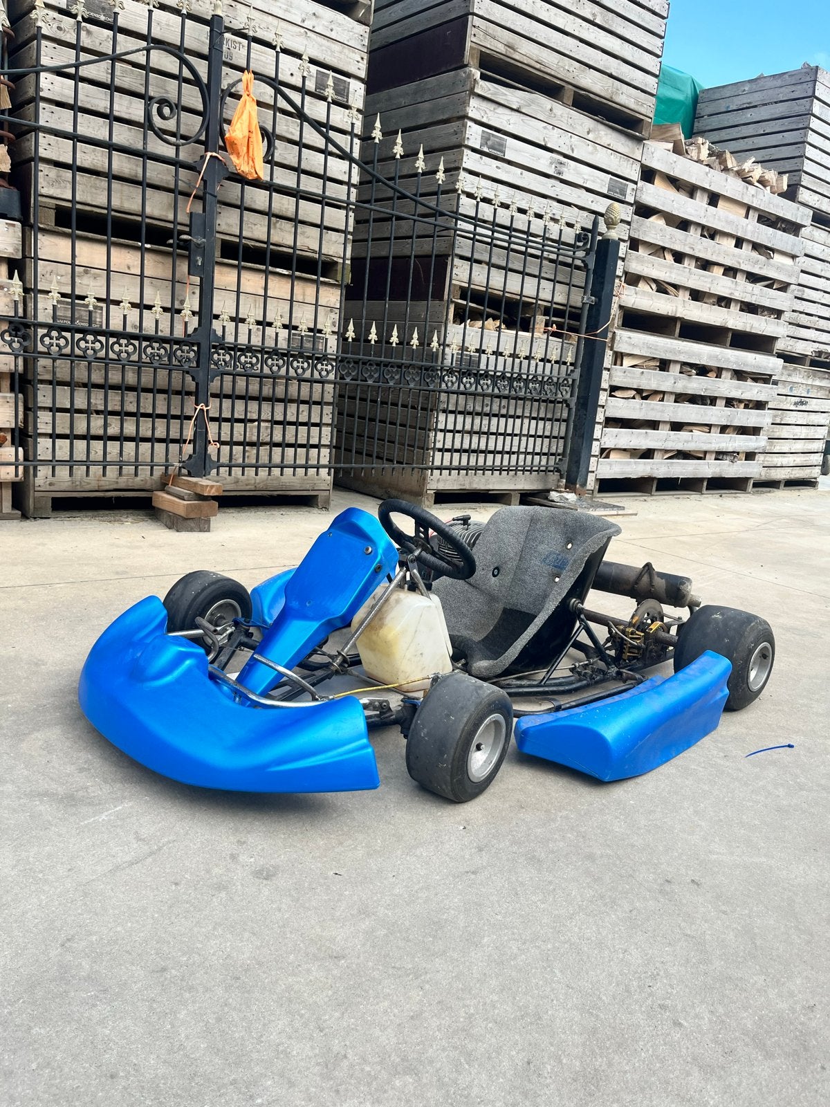 Retro Kart met gereviseerd 100cc Rotax blok, Ophalen, Gebruikt, Kart