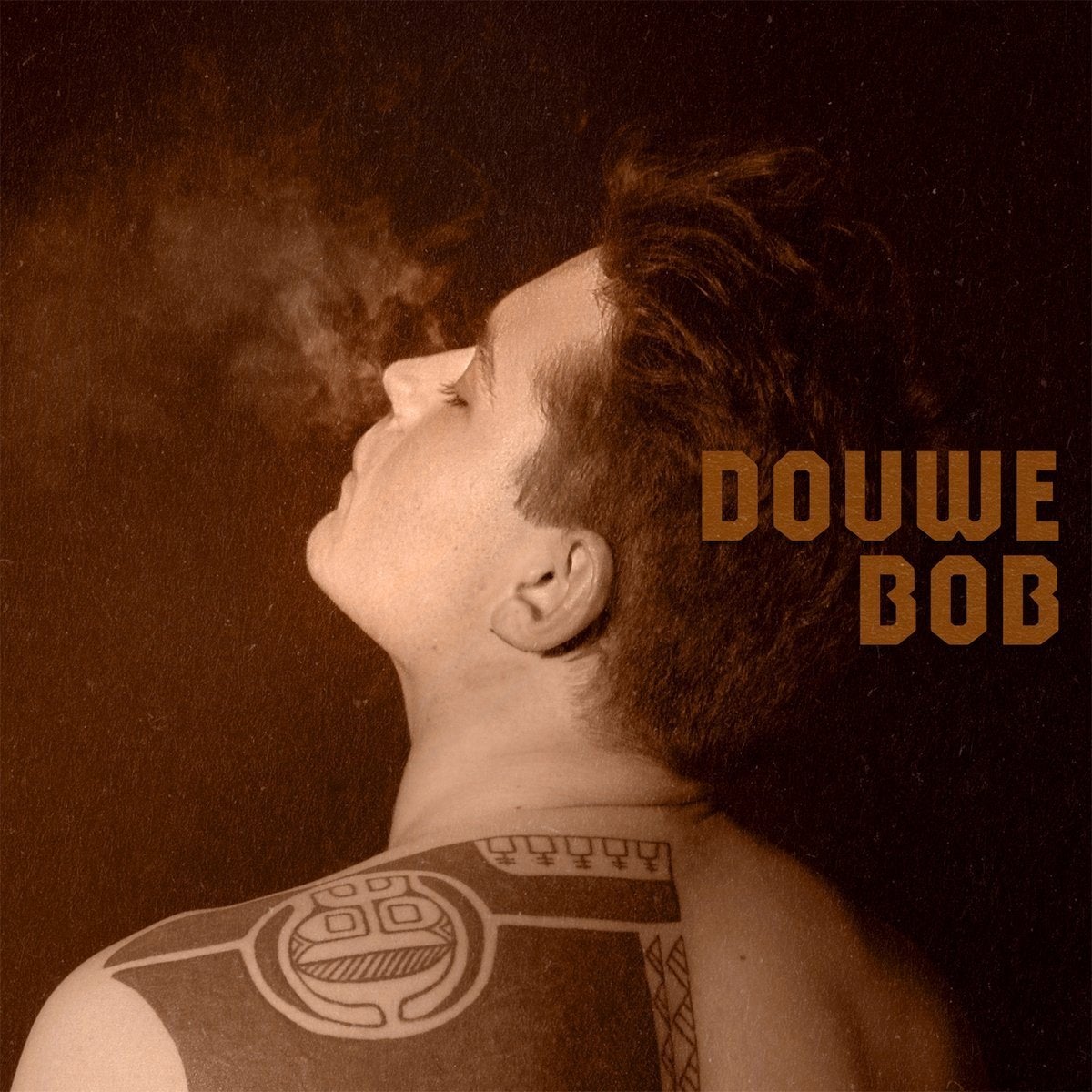 Douwe Bob - Born In A Storm LP, Ophalen of Verzenden, LP