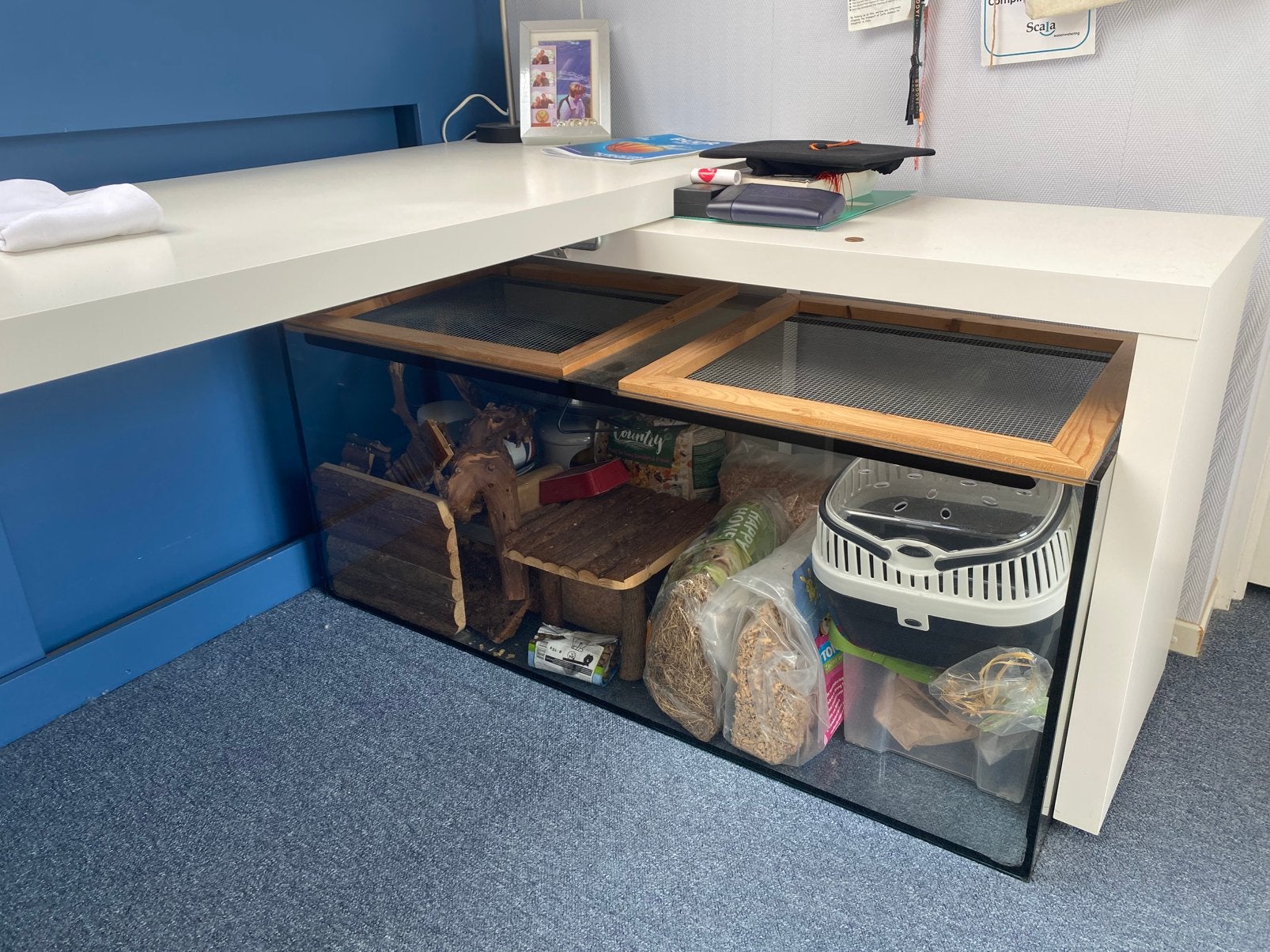Hamster hok met toebehoren 120x50x50, 110 cm of meer, Zo goed als nieuw, Ophalen, Minder dan 60 cm