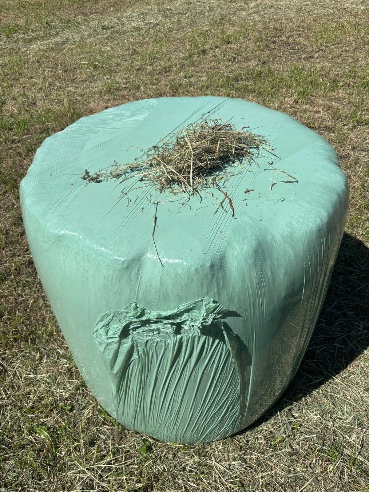 Wikkel Hooi balen +-150kg, Ophalen, Vee