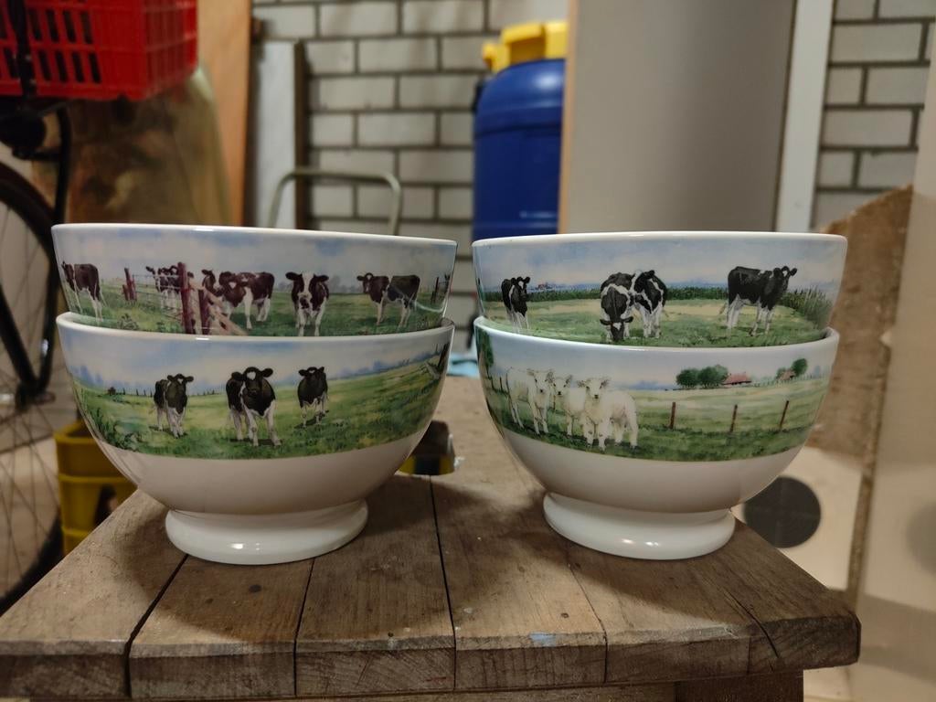 4 x Wiebe van der Zee schaaltje, Ophalen, Zo goed als nieuw, Overige stijlen, Kop(pen) en/of Schotel(s)