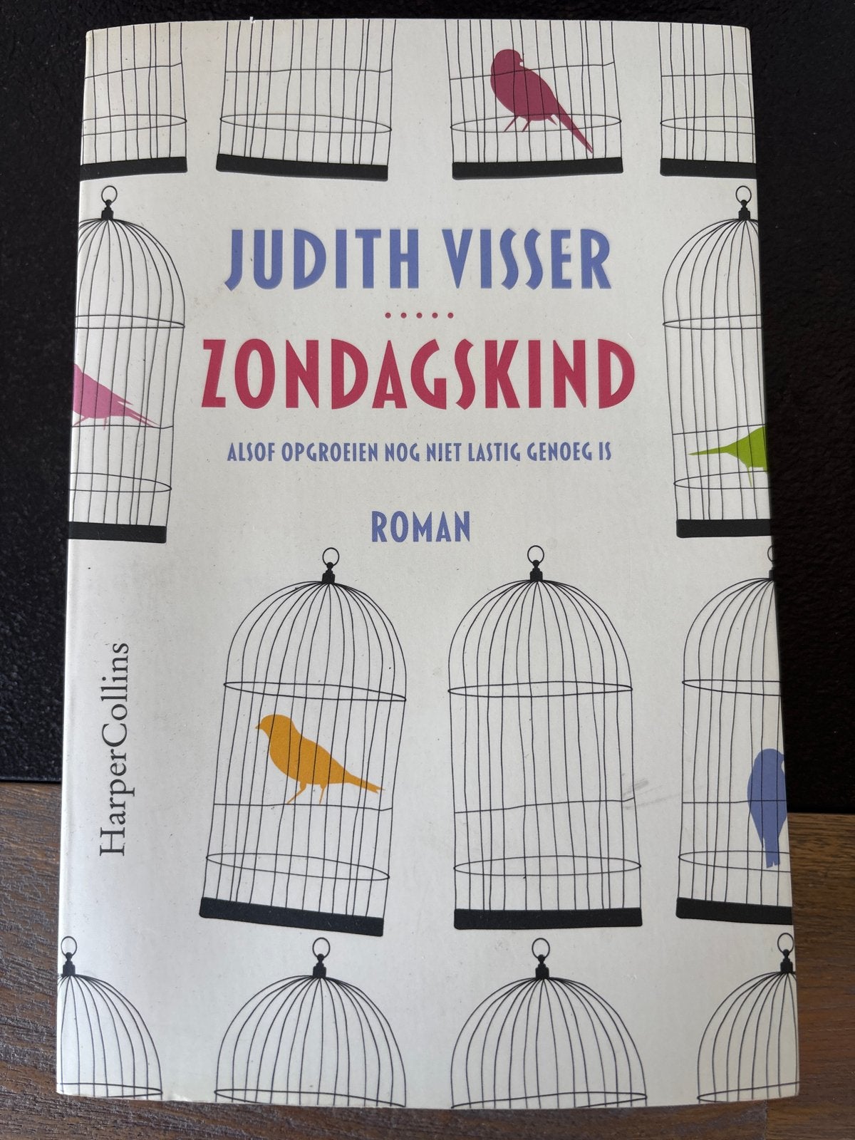 Zondagskind - Judith Visser (Roman), Ophalen of Verzenden, Zo goed als nieuw, Nederland