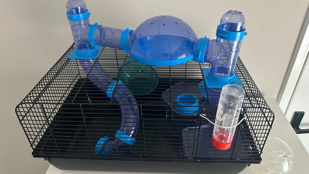 Hamsterkooi met buizen en hamsterbal, Dieren en Toebehoren, Kooi, Gebruikt, Minder dan 75 cm, Hamster