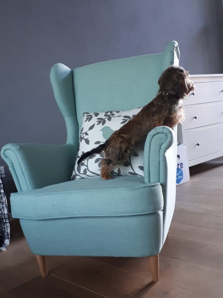 IKEA  Strandmon oorfauteuil, Huis en Inrichting, Fauteuils, Ophalen of Verzenden, Zo goed als nieuw, Minder dan 75 cm, 50 tot 75 cm
