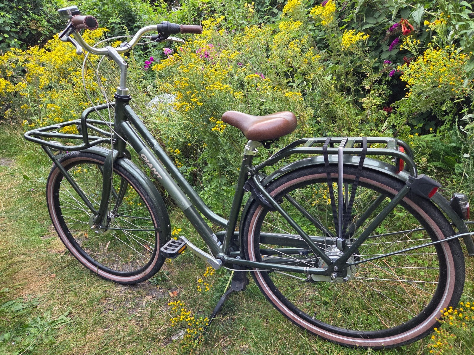 Giant fiets te koop. Zie foto's, Fietsen en Brommers, Ophalen, Gebruikt, (Extra) lage instap, Giant