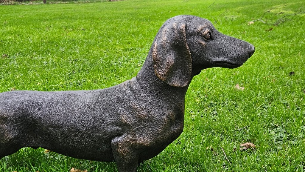 Bronzen beeld / TECKEL / 73 cm lang / tekkel, Dierenbeeld, Nieuw, Info@huisentuindecoratiemarie.nl, Huis en tuin decoratie marie