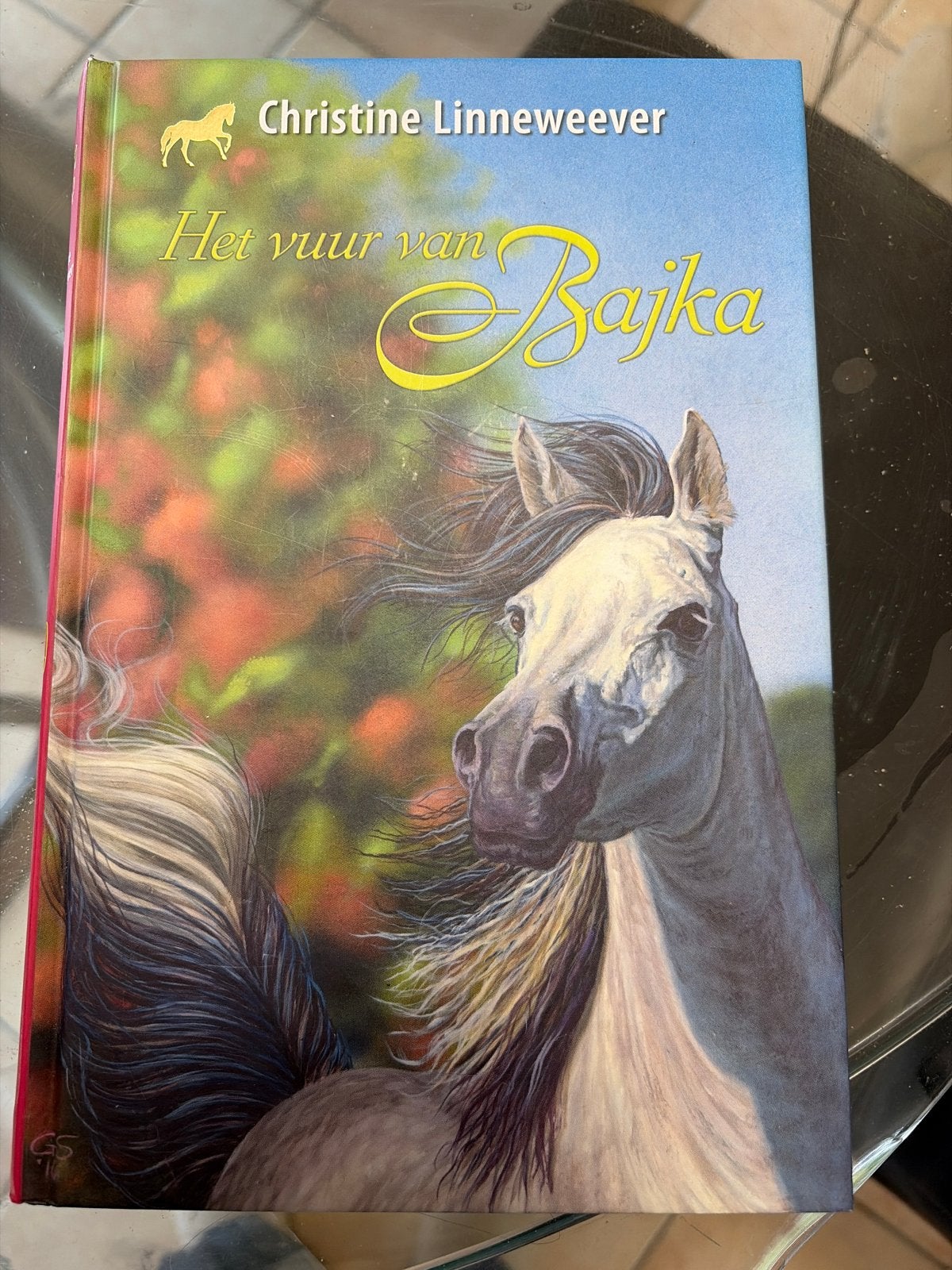 Het vuur van Bajka - Christine Linneweever (paardenboek), Ophalen of Verzenden, Zo goed als nieuw, Nederland
