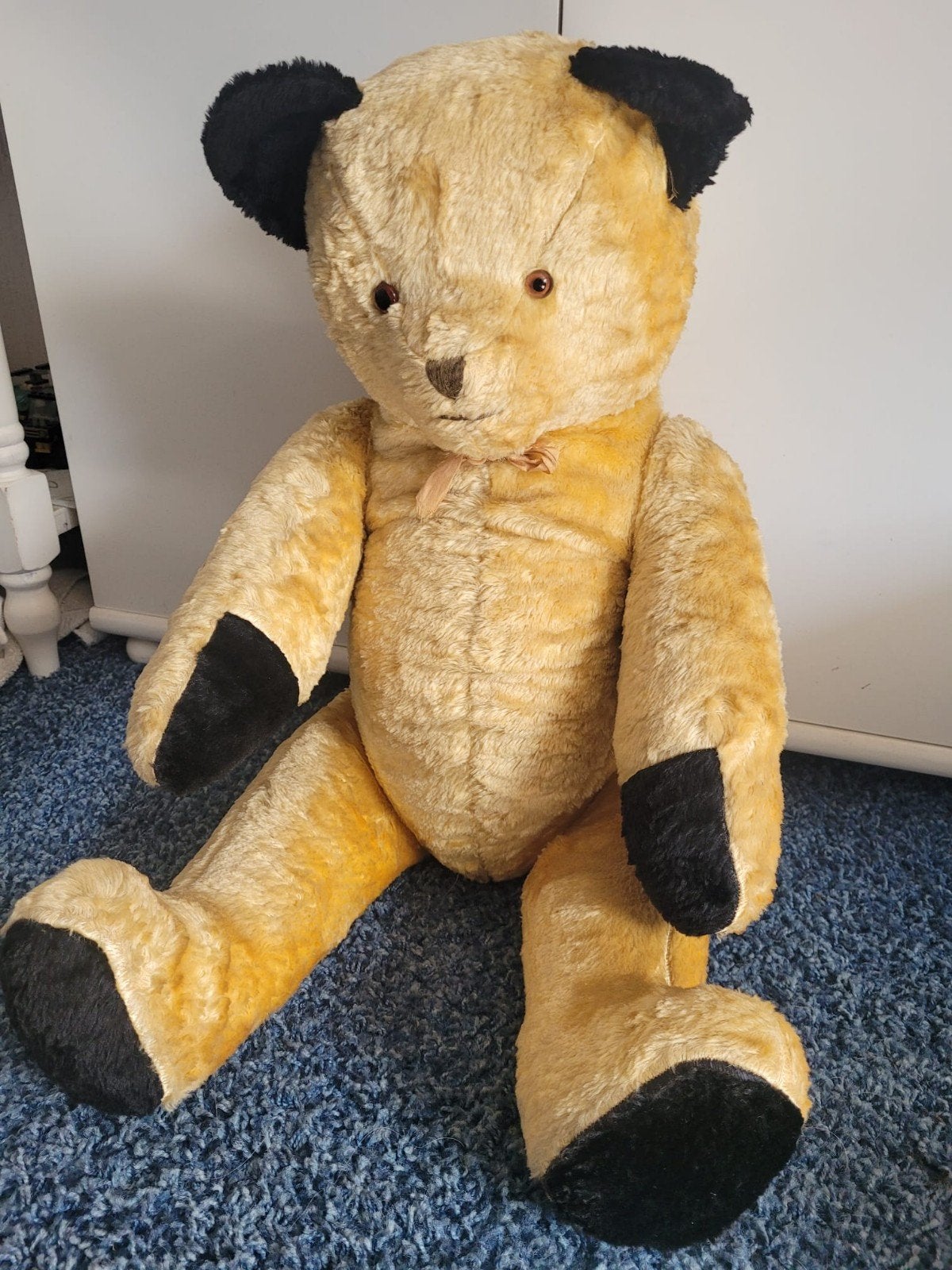 Beer / teddybeer (Sooty), Ophalen, Zo goed als nieuw, Stoffen beer, Overige merken