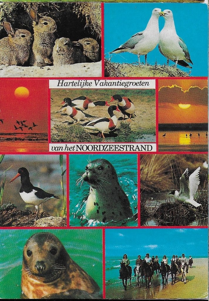 V261 ansichtkaart vakantiegroeten van het noordzeestrand, Ophalen of Verzenden, 1980 tot heden, Gelopen