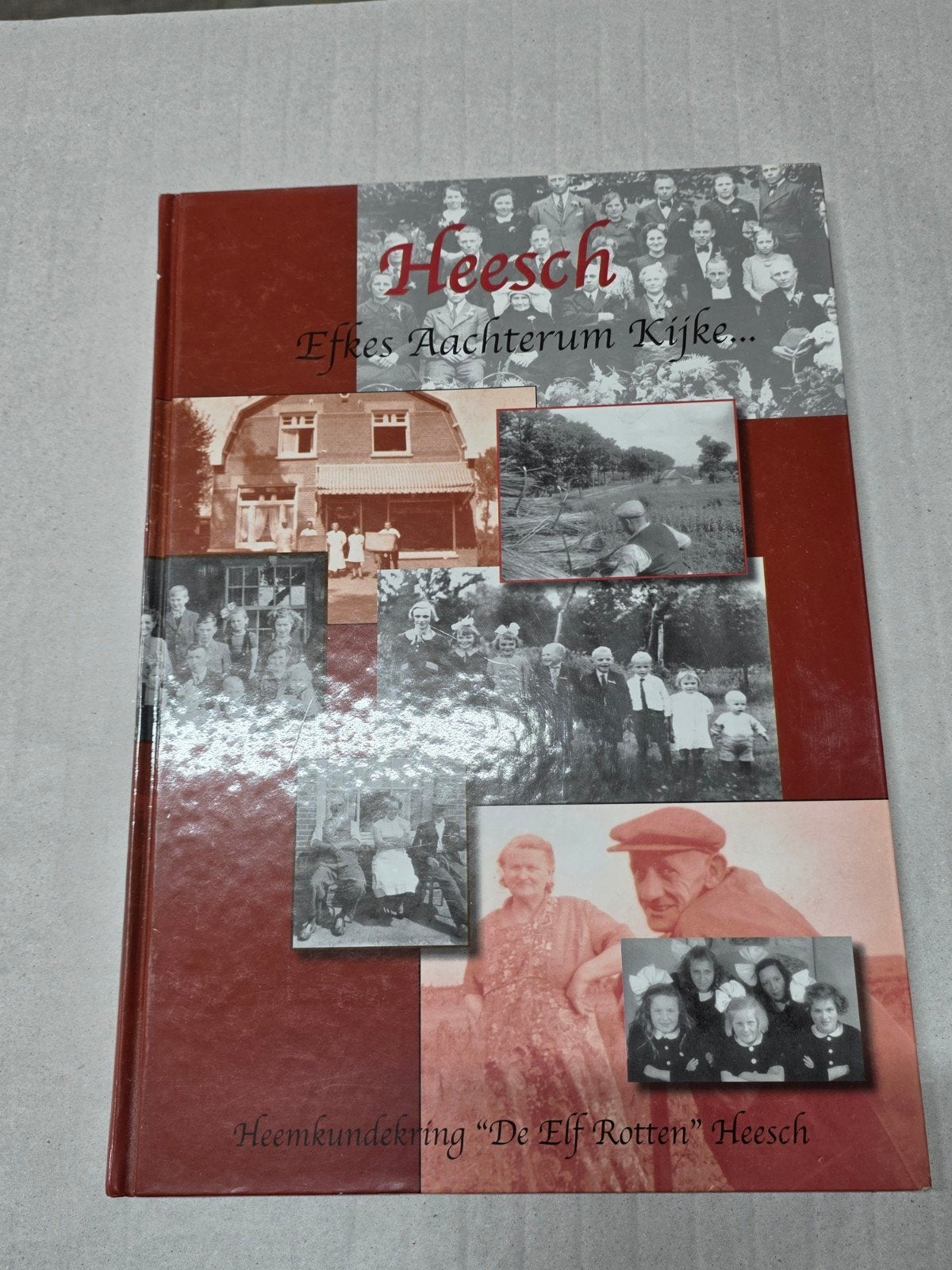 Heesch: Efkes Achterum Kijke... - Heemkundekring, Ophalen of Verzenden, 20e eeuw of later, Zo goed als nieuw, Heemkundekring "De Elf Rotten" Heesch