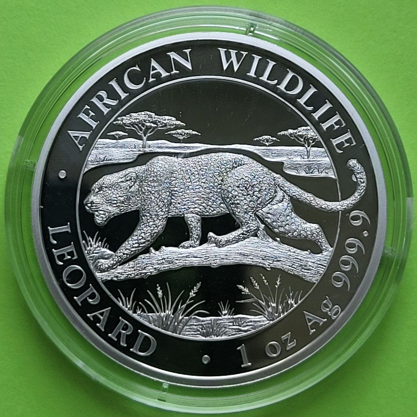 Somali Leopard 2026 - 1 oz zilver, Verzenden, Zilver
