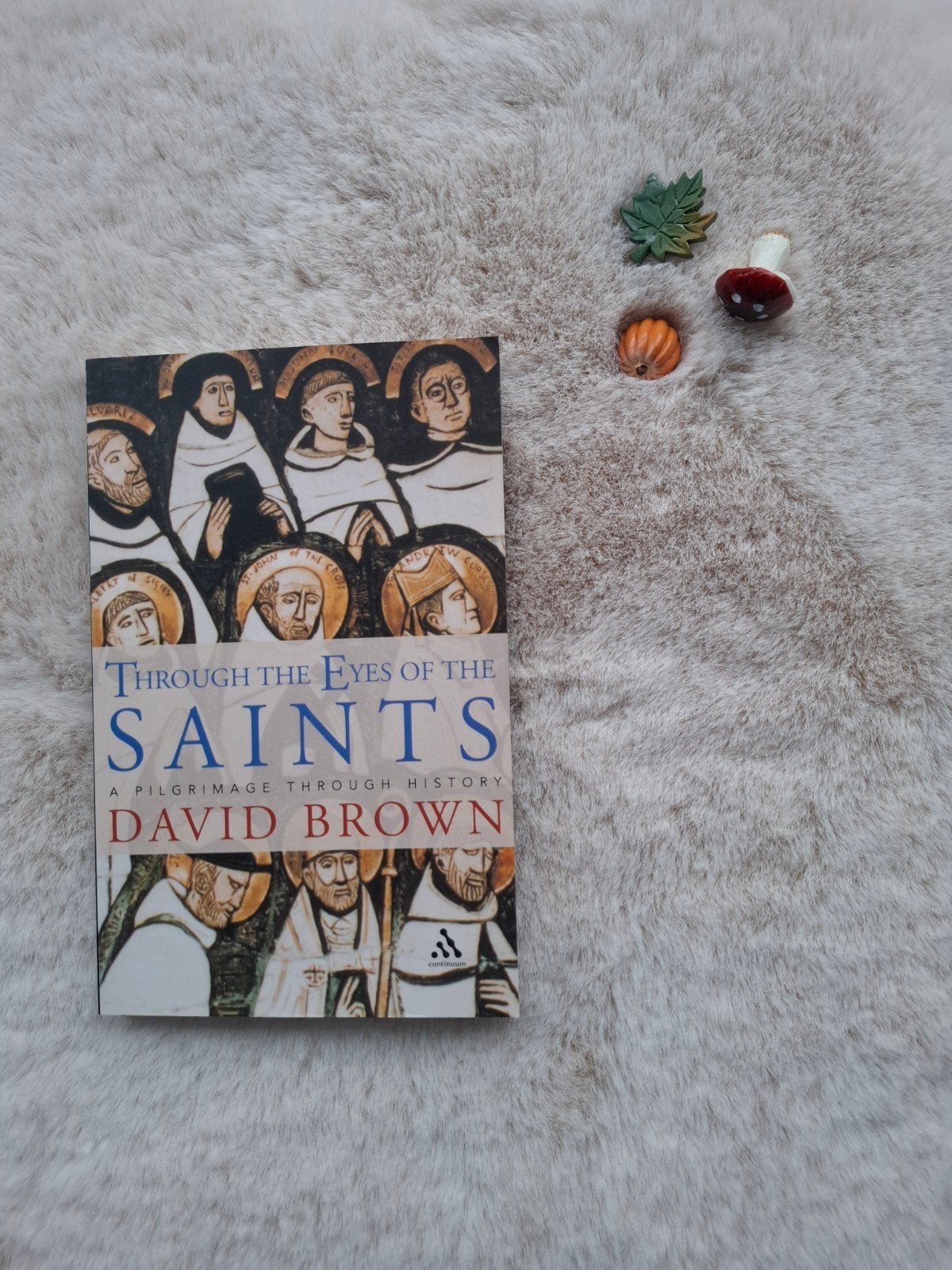 Through the Eyes of the Saints David Brown, Boeken, Ophalen of Verzenden, Zo goed als nieuw, David Brown, Europa